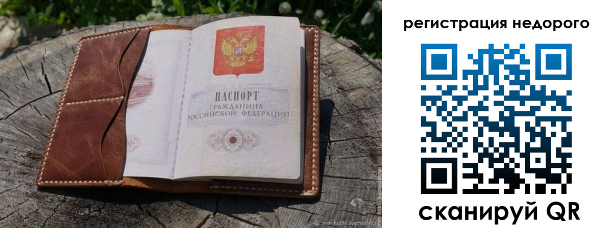 прописка для школы в Чистополье